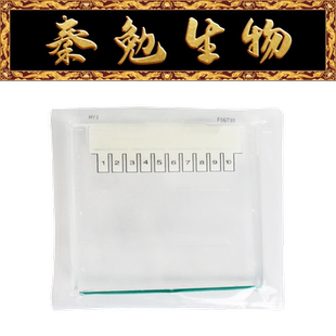 10孔 Gly 10％ 1.0 BL1009A Biosharp白鲨 蛋白预制胶Tris