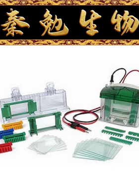 bio-rad 货号：1658001 Mini-PROTEAN Tetra小型垂直电泳槽