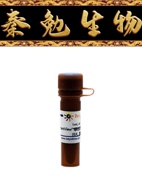 碧云天 D0078-1ml/D0078-10ml 绿色荧光DNA上样缓冲液(6X,溴酚蓝)