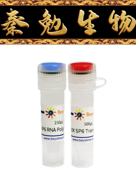 碧云天 R7006S/R7006M/R7006L/R7006XL SP6 RNA聚合酶