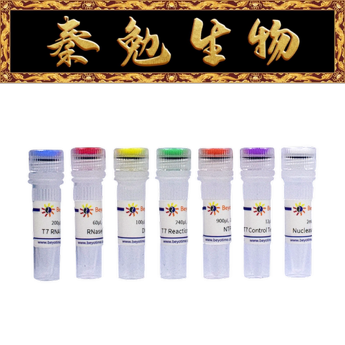 T7快速高产量RNA转录试剂盒