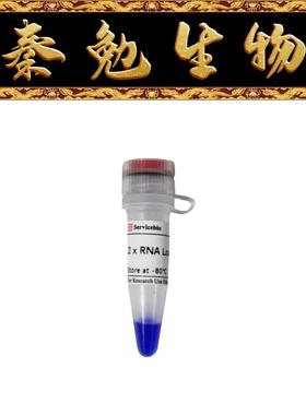 赛维尔 货号：G3370-500UL 2×RNA上样缓冲液