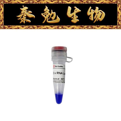 赛维尔2×RNA上样缓冲液