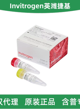 Invitrogen L3000-001/008/015 Lipofectamine™ 3000 转染试剂