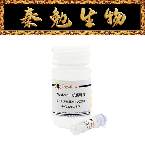 麦芽糖结合蛋白兔单克隆抗体