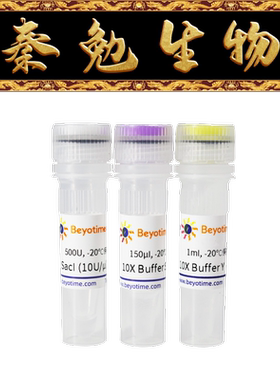 碧云天 D6593 SacI（内切酶为进口分装）