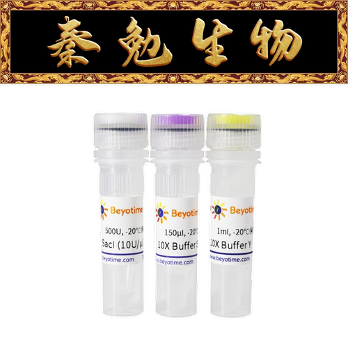 碧云天SacI内切酶为进口分装