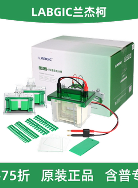 LABGIC兰杰柯 L-VEC-2 小型垂直电泳槽