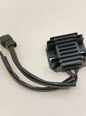 适用豪爵喜冠HJ150-2A/2C/2D/2E/2F-2G-2H摩托车充电器125整流器