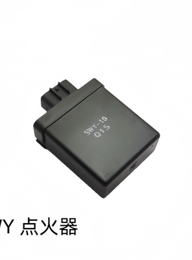 适用 雅马哈100发动机 摩托车LYM100林海 JOG巧格 福喜5WY点火器