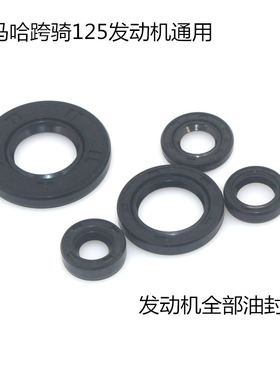 适用建设雅马哈摩托车天剑YBRE-S-Z劲傲天戟JYM125全车发动机油封