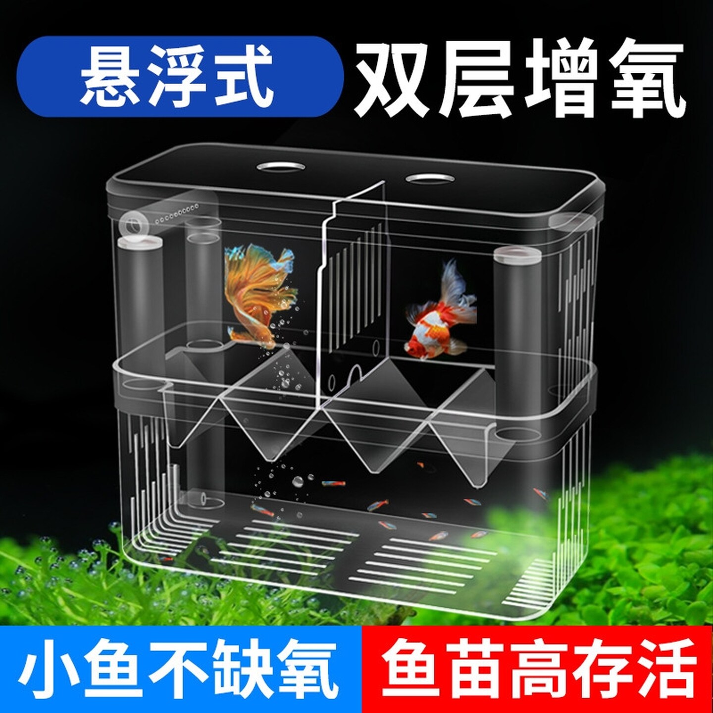 鱼缸隔离盒多功能小鱼繁殖隔离盒孵化盒孔雀鱼凤尾热带鱼苗产卵房