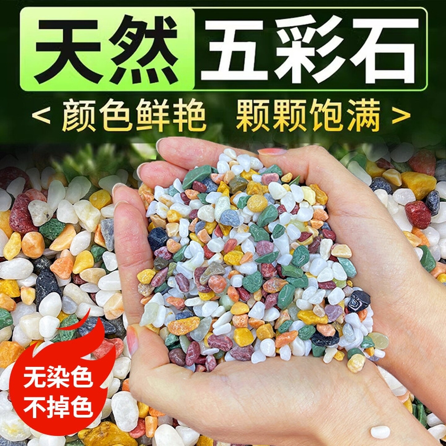 天然五彩石多肉盆栽铺面石子鹅卵石鱼缸造景底部养花专用小原石头