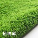 鲜活苔藓桌面生态微景观绿植盆景草皮青苔铺面造景大灰短绒白发藓