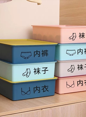 内衣内裤收纳盒塑料袜子分格整理箱宿舍衣柜收纳三合一文胸整理盒