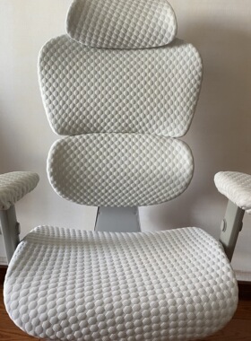 冰豆豆冰丝夏季凉爽感椅套适配保友优BE2代金豪Ergonor电脑椅套罩