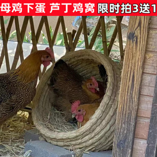 下蛋鸡窝家用户外特大鸟窝宠物兔窝猫窝草窝鸡下蛋窝产蛋草编母鸡
