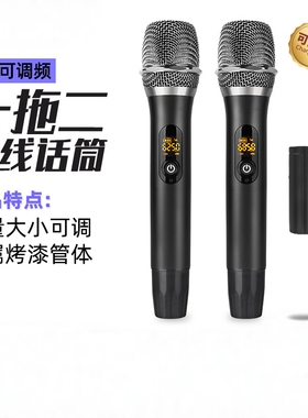 专业无线一拖二U段带接收器话筒