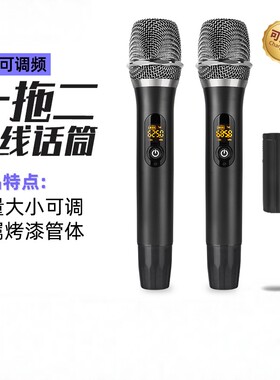 专业无线一拖二U段带接收器话筒