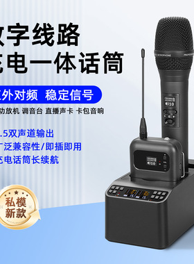 朗声无线充电一拖二K歌话筒