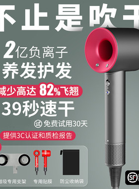 德国电吹风机家用负离子护发理发店专用大功率发廊风筒不伤发静音