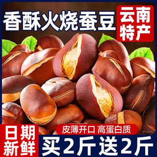 火烧蚕豆云南新炒货原味特产香酥绿心蚕豆子类下酒菜小零食品批发