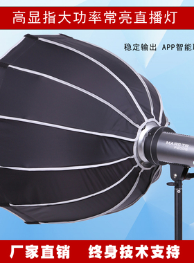 P200B/300B双色温Led常亮直播补光灯 间美颜灯摄影美食服装美妆