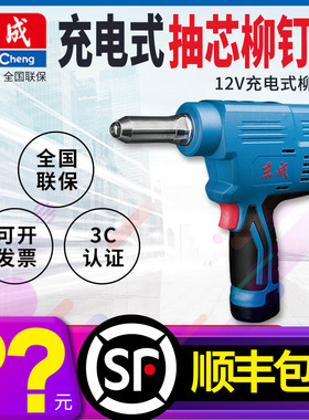 东成电动铆钉枪DCPM40E/50E 锂电拉铆抢 12V充电式自动抽芯铆钉机