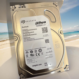 5900转64M大华台式 机监控硬盘3T静音 希捷ST3000VX006 Seagate