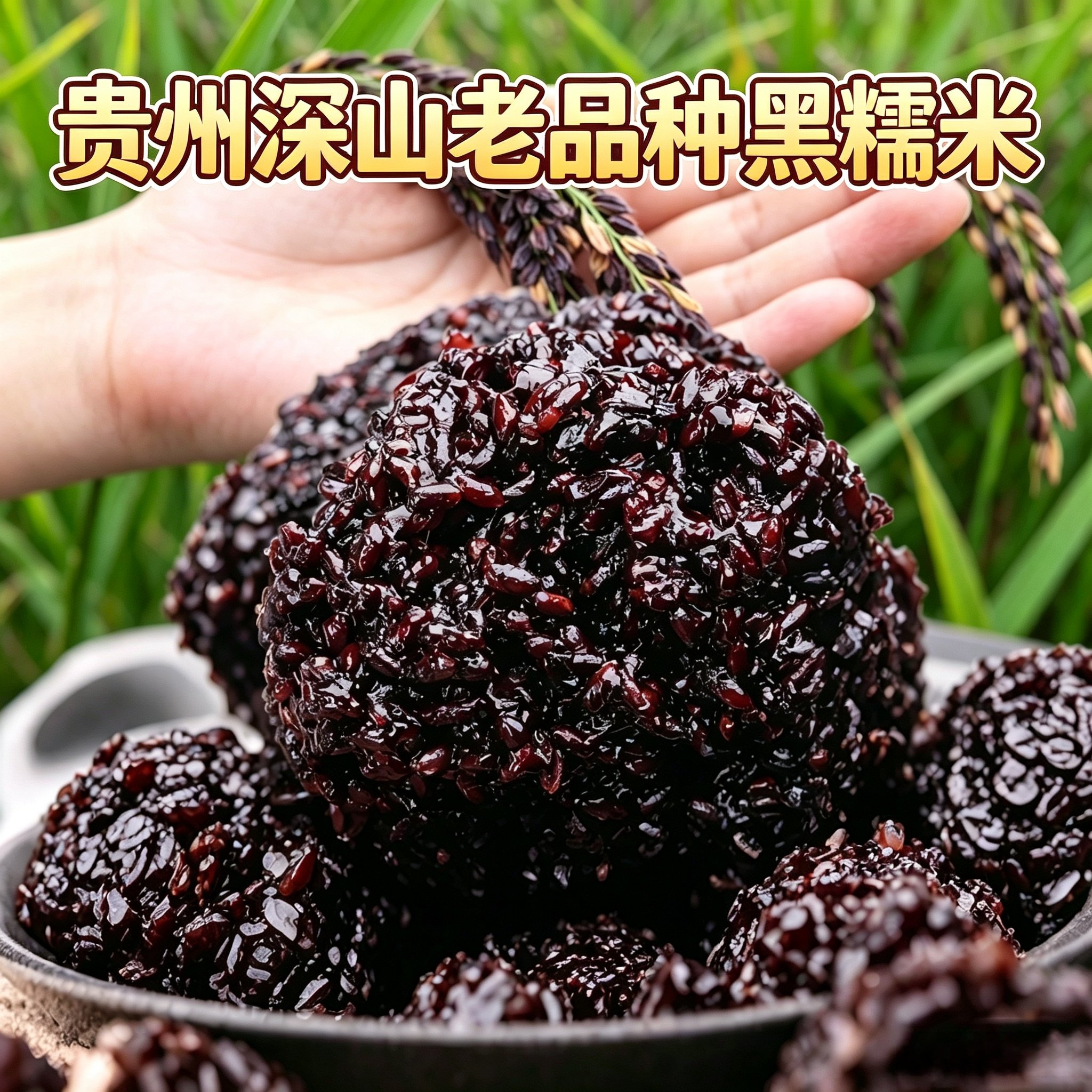 贵州梯田冷水黑糯米黑米血米粗粮杂粮高山老人农家自种2斤5斤10斤