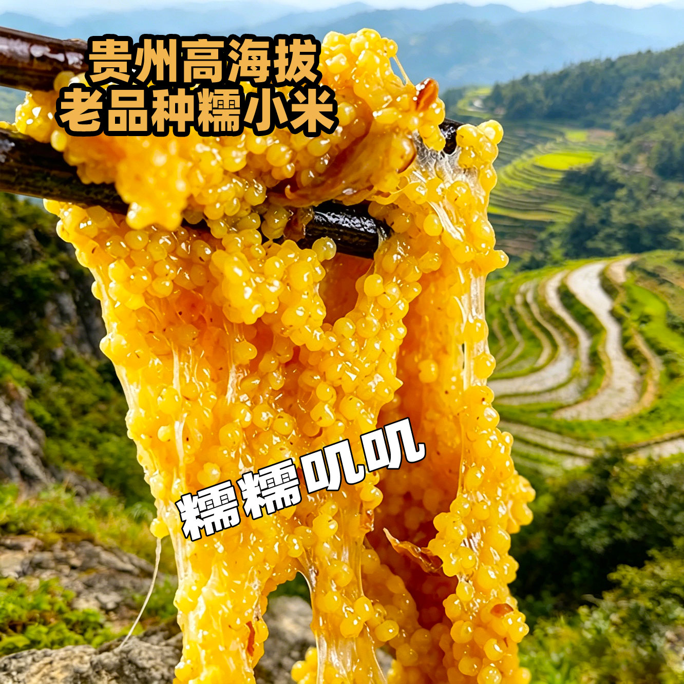 2025年贵州糯小米特产新米高山正宗老品种正品五谷杂粮煲粽子煮粥