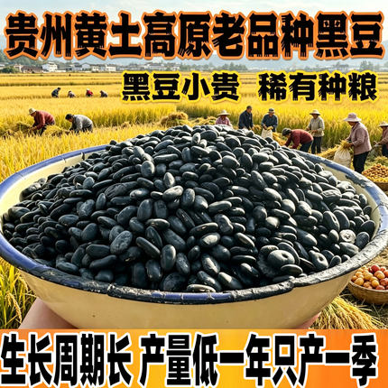 贵州老品种小黑豆肾形雄黑豆打豆浆自留自种无添加五谷杂粮新货