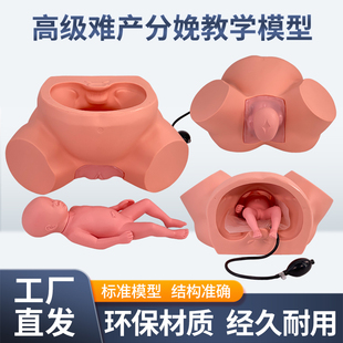 孕妇难产示教模型分娩教学模具难产助产示教训练生产分娩演示肩产