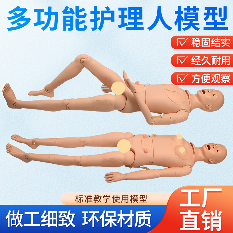 蓝蝶模型人体模型护理训练教具