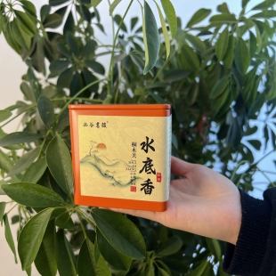 桐木关《水底香》红茶一两罐装