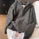 外套 秋冬加绒加厚宽松软糯拉链开衫 小C家 条纹连帽卫衣女2025新款