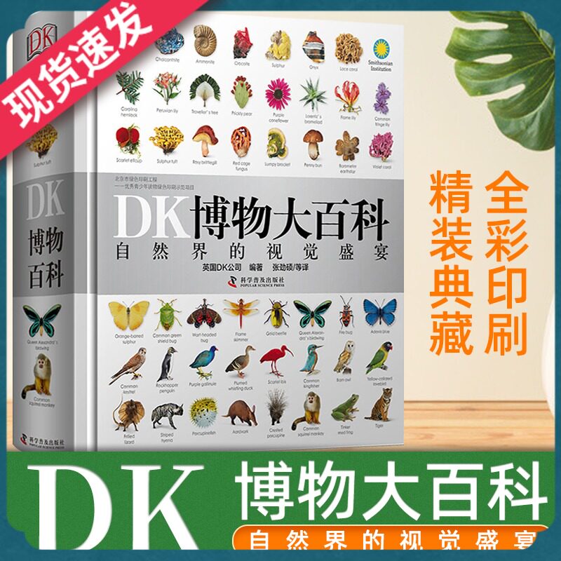 正版dk博物大百科 DK科普类书籍 儿童小学生科学恐龙3d立体书6-7-10岁精装绘本 科普课外书彩图博物馆课外阅读书籍
