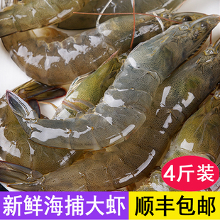 新鲜大虾鲜活大白对虾冷冻海虾大青虾基围虾青岛海鲜2030新装