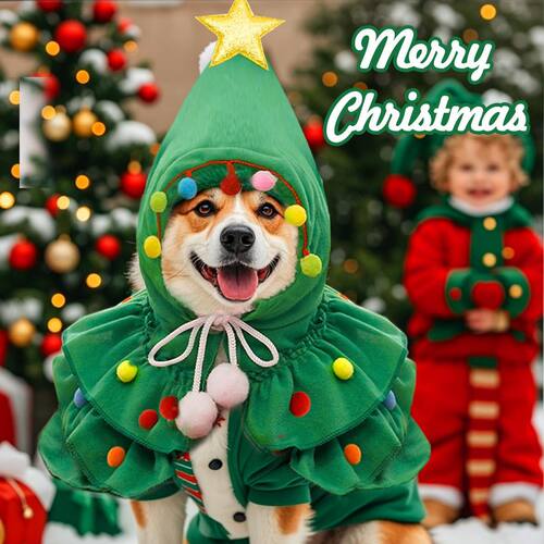 Dog Christmas Tree Costume with Stars, Cute Dog Costume