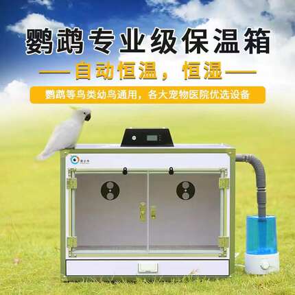 宠小牛鹦鹉保温箱智能恒温风暖PVC玄凤虎皮手养幼鸟保温爬宠饲养