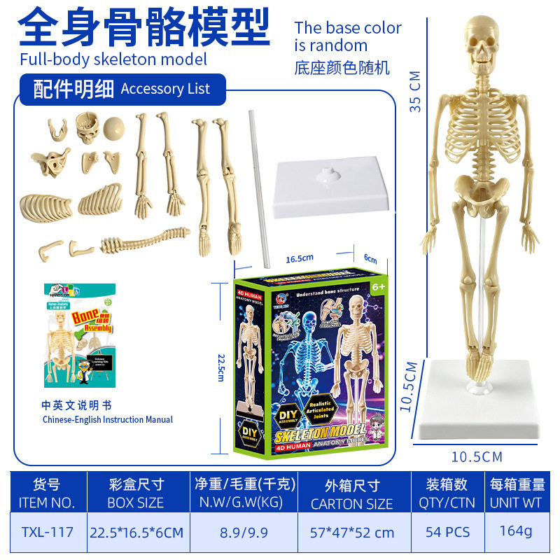 小型人体骨骼模型全身仿真骨架儿童早教益智玩具教具迷你立体