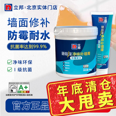 立邦补墙膏室内家用防潮耐水防霉墙面修补膏白色腻子粉墙壁修复