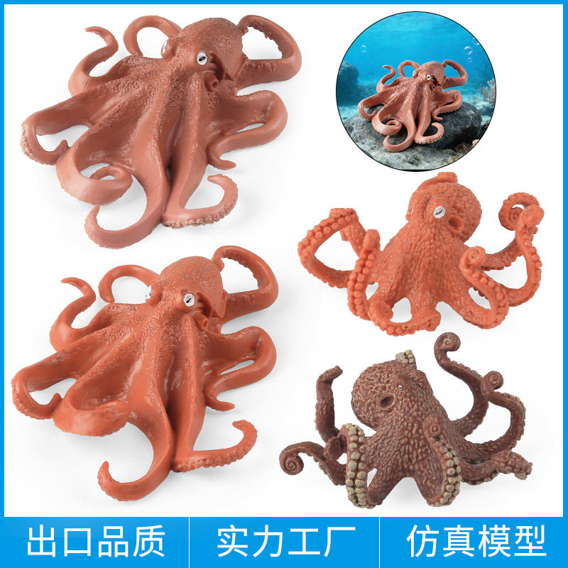 跨境儿童认知仿真动物模型海洋馆玩具生物鱿鱼八爪鱼乌贼章鱼摆件