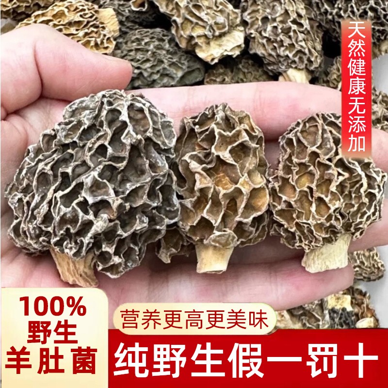 野生羊肚菌干货特级精选山西纯天然野生羊蘑菇500g比西藏云南菌好