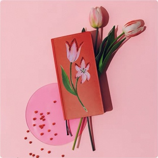 新款2026年新款限定HOBONICHI手帐本weeks周计划hobo日文版巴川纸