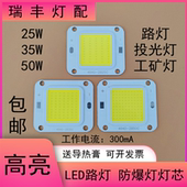 LED投光灯灯芯20W30W50W集成光源路灯防爆灯射灯工矿灯片灯珠灯板