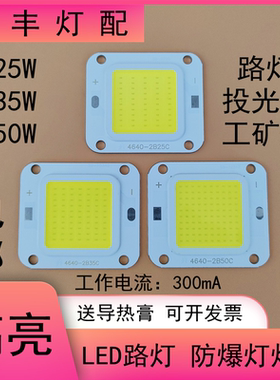 LED投光灯灯芯20W30W50W集成光源路灯防爆灯射灯工矿灯片灯珠灯板
