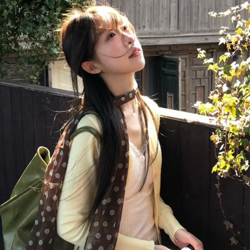 棕色波点丝巾印花高级百搭配饰系脖女文艺氛围感发带绑发长条围巾,服饰配件/皮带/帽子/围巾,围巾/丝巾/披肩,淘宝优惠券,粉丝福利购,淘宝优惠卷