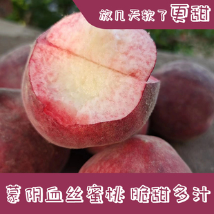 山东蒙阴当季血丝红蜜毛桃4.5斤包邮新鲜水果软甜多汁水蜜桃子
