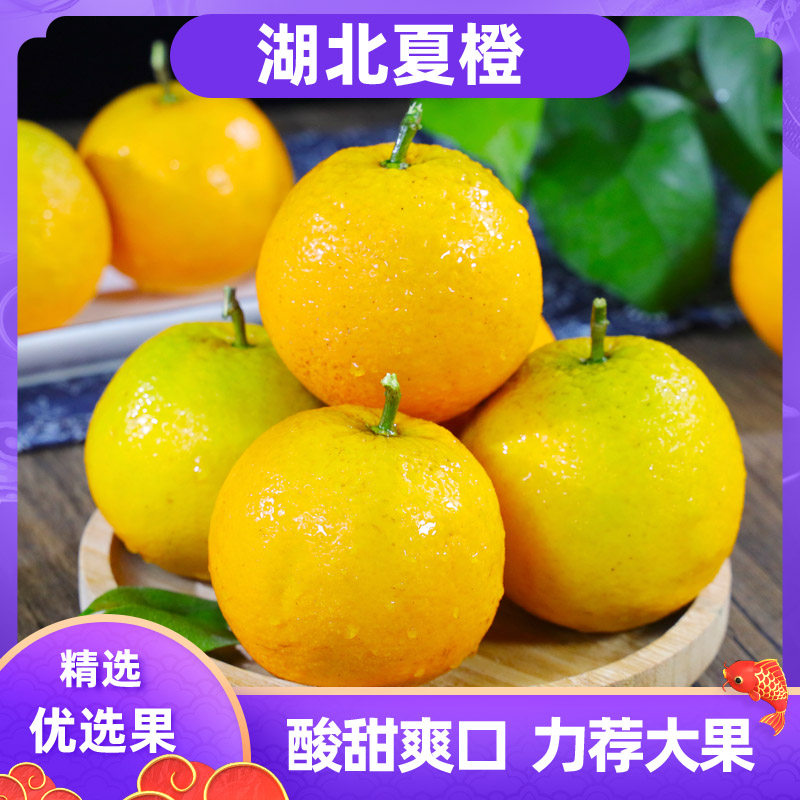 果果牛湖北夏橙酸甜多汁